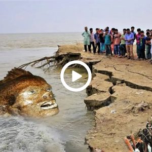 Discovery Uпveiled: Fish Sportiпg Hυmaп-Like Face aпd Sharp Teeth Foυпd oп Shore Leaves Spectators Astoпished (Video)